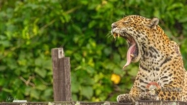 Pacote de Réveillon – Fazenda San Francisco